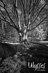 Kyl_e091