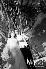 Trish & Noel wedding (#319) Trish & Noel wedding (#319)
