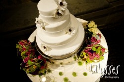 Carrie_w450