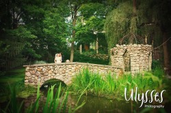 Amber & Matt wedding #264 - Romance over a stone bridge