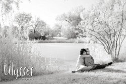 Iris_e007