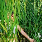Iris_e021 Iris_e021