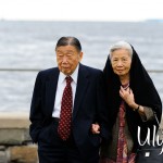 Iris_w494 Iris_w494