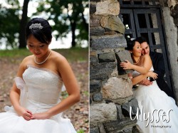 Iris_w627_611
