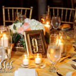 Jill_w479 Jill_w479